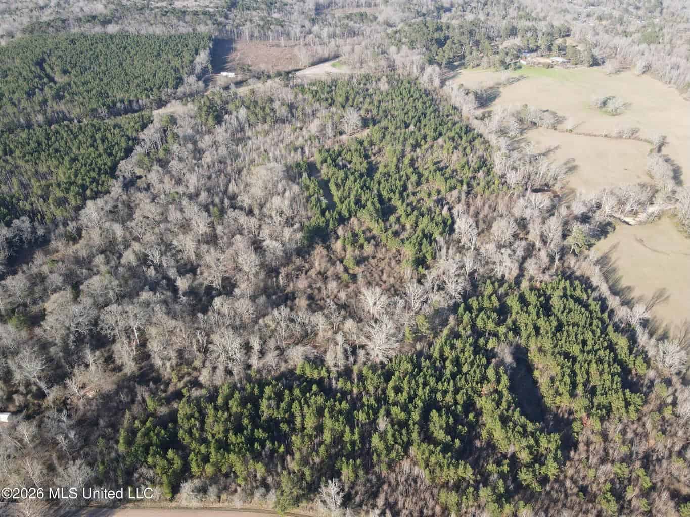 Hazlehurst MS Hunting Land for Sale