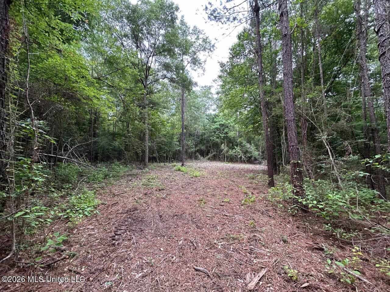 120± Acres for Sale in Osyka, MS on Tickfaw River