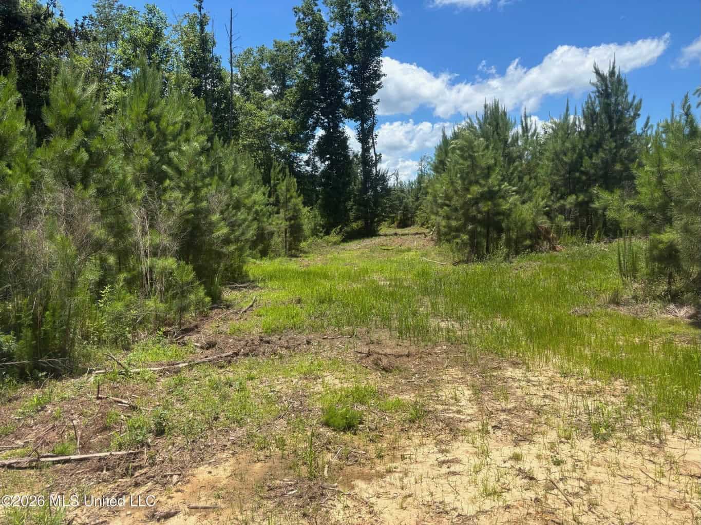 Wilkinson County MS Hunting Land for Sale