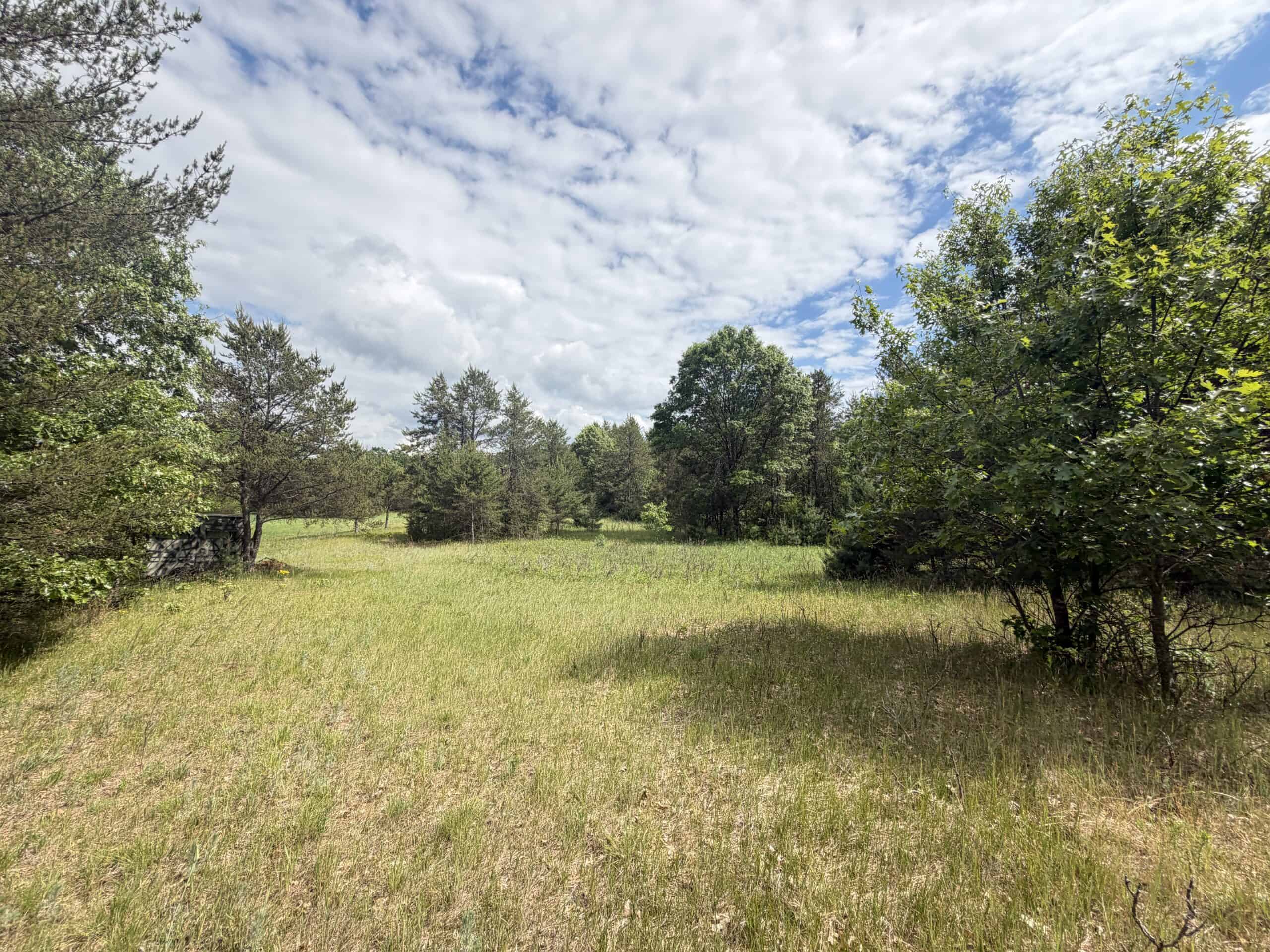 Forty acres in Adams County located in the Town of Strongs Prairie