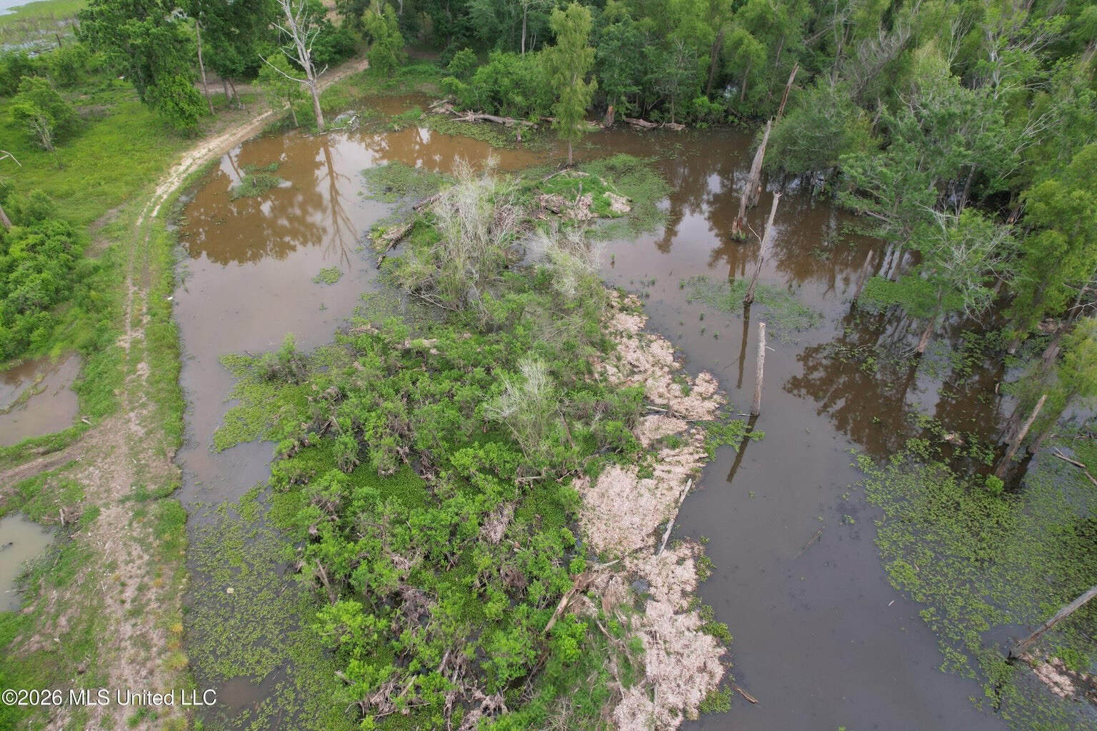 88 Acre Hunting Property – Wilkinson County, MS