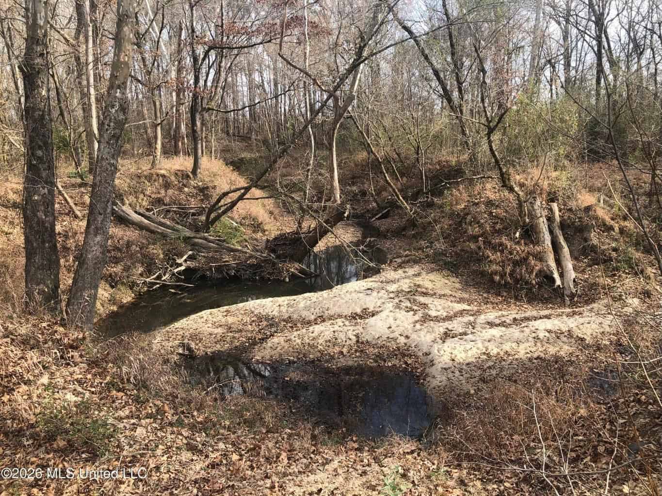 88.5 acres Hunting & Timber Land for Sale in Utica, Ms