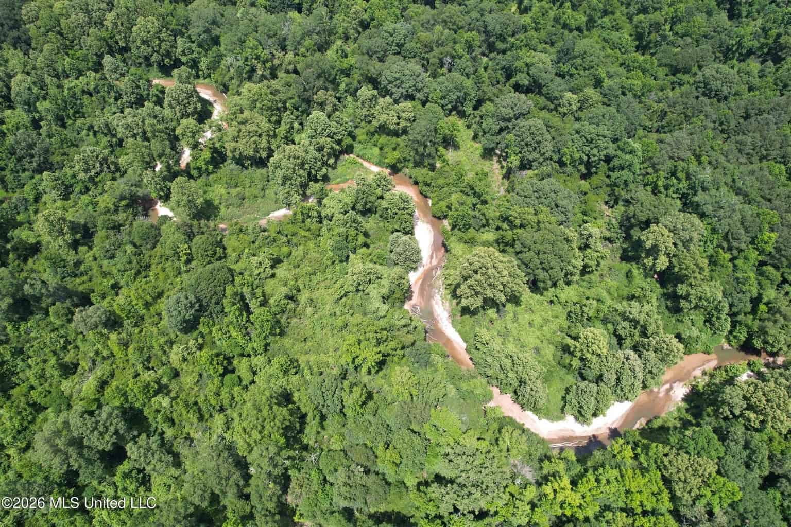 44 Acre Hunting Land in Wilkinson County, MS