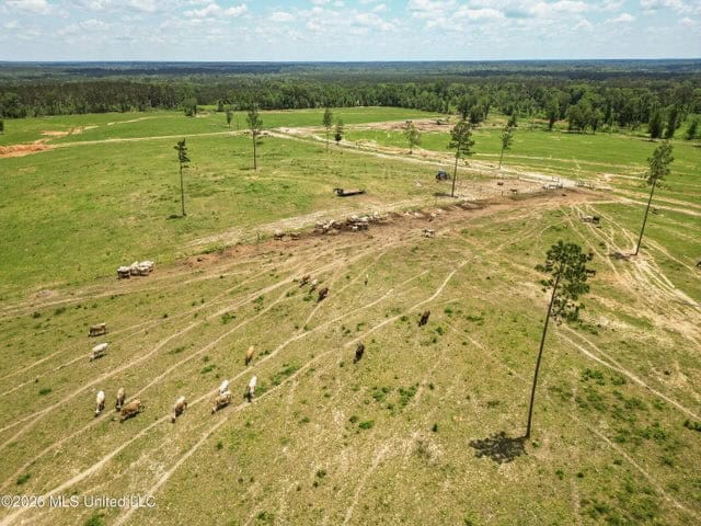 Pasture Land for Sale in Lincoln County, MS