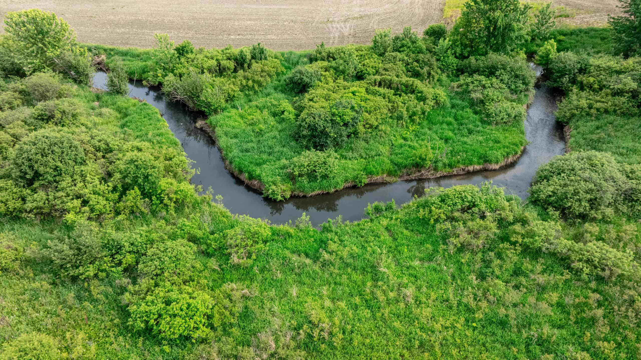 Online Auction 125± Acres of Farmland, Recreation & Investment Property