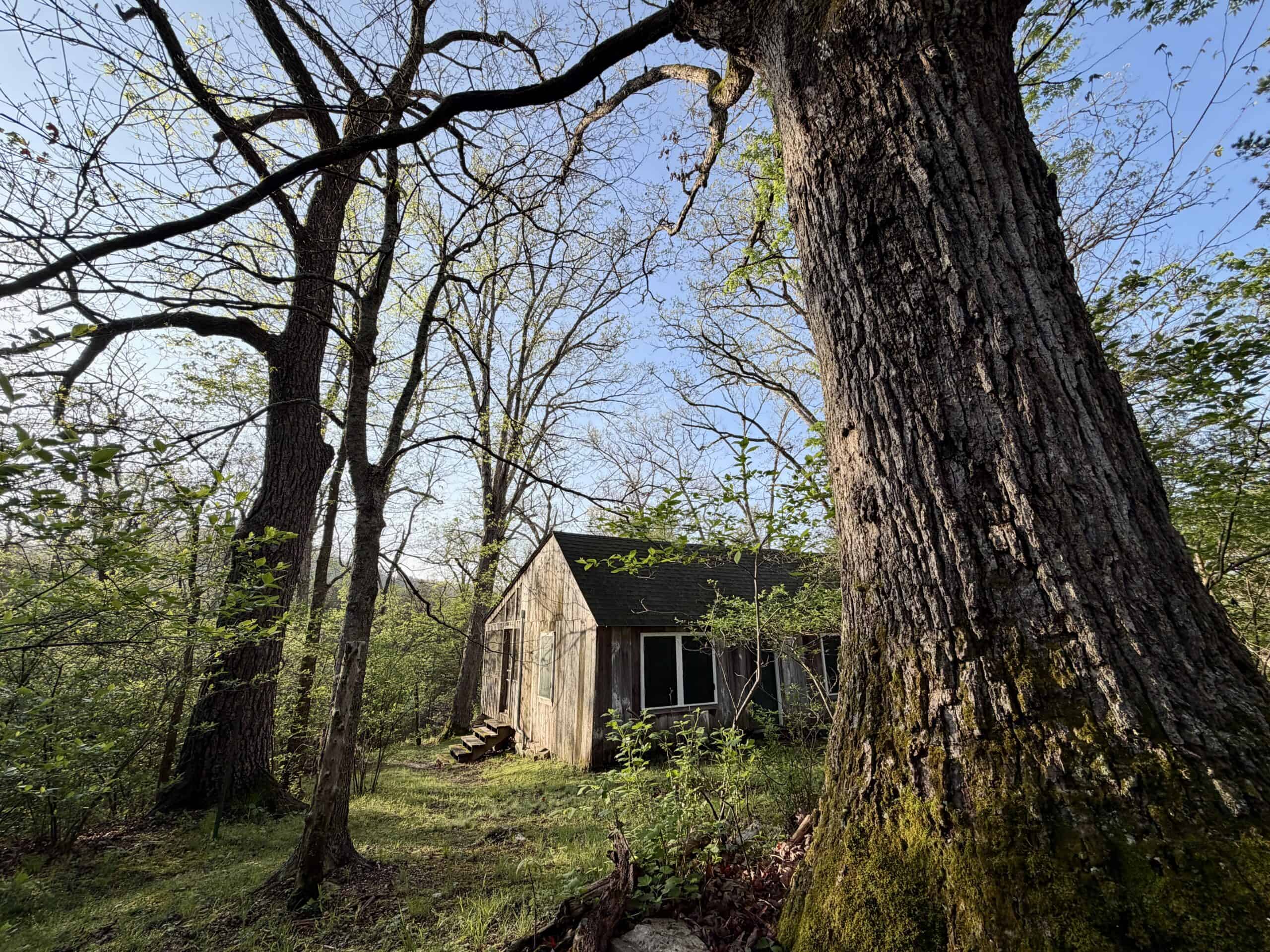 Land for Sale in the Missouri Ozark Mountains