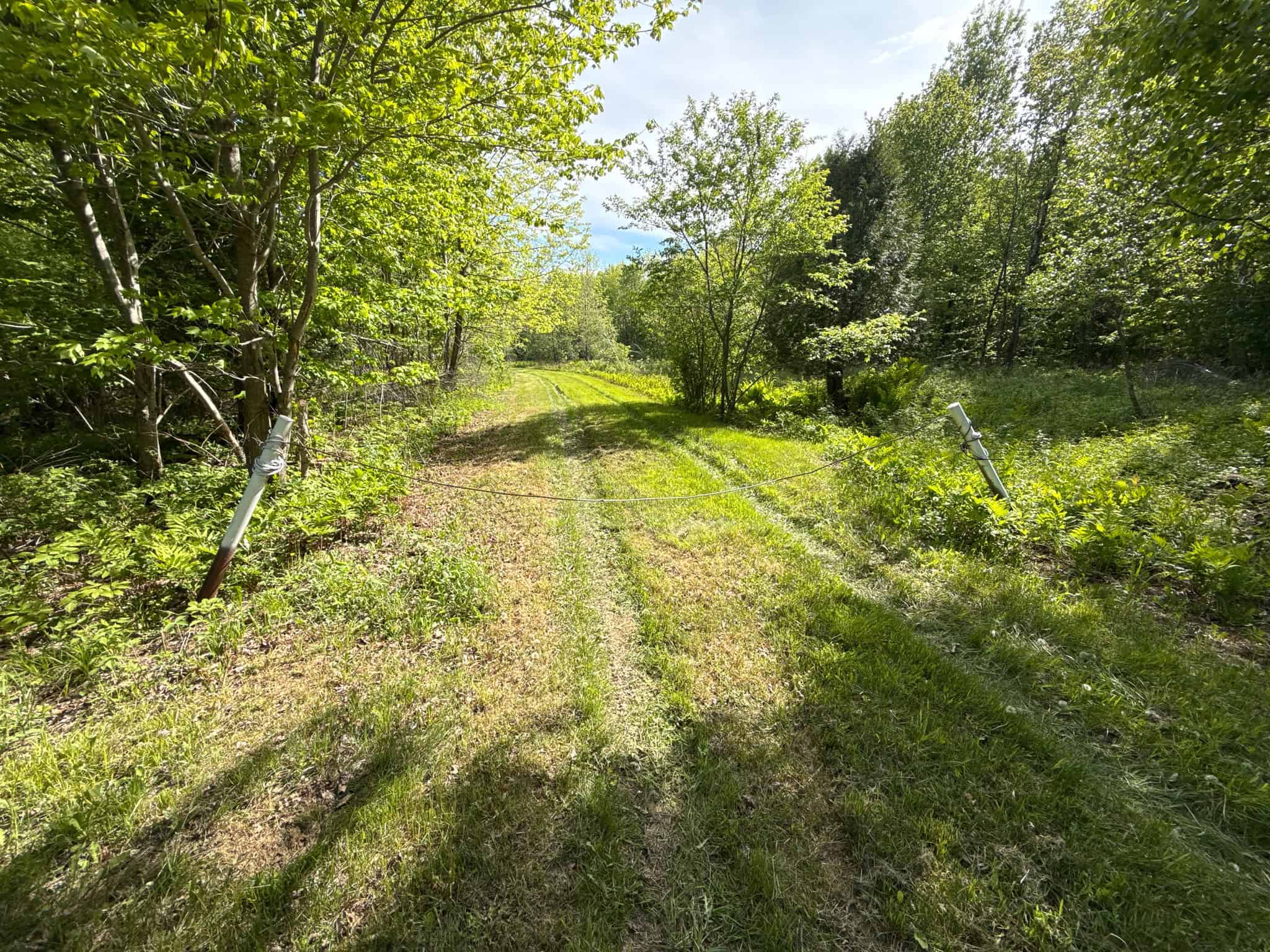 46 Acres of Maine Wilderness with Turnkey Off-Grid Cabin & Garage