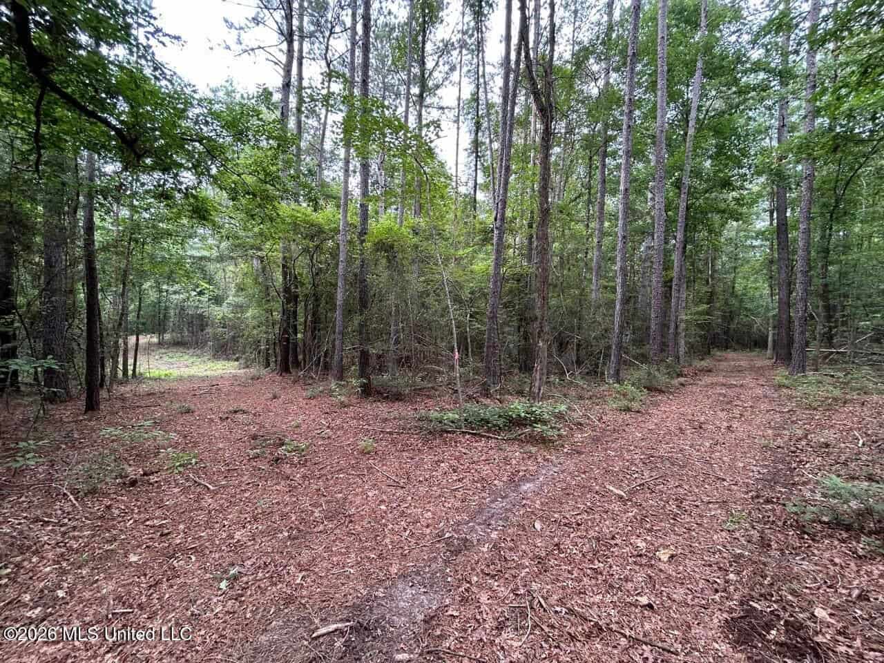 120± Acres for Sale in Osyka, MS on Tickfaw River