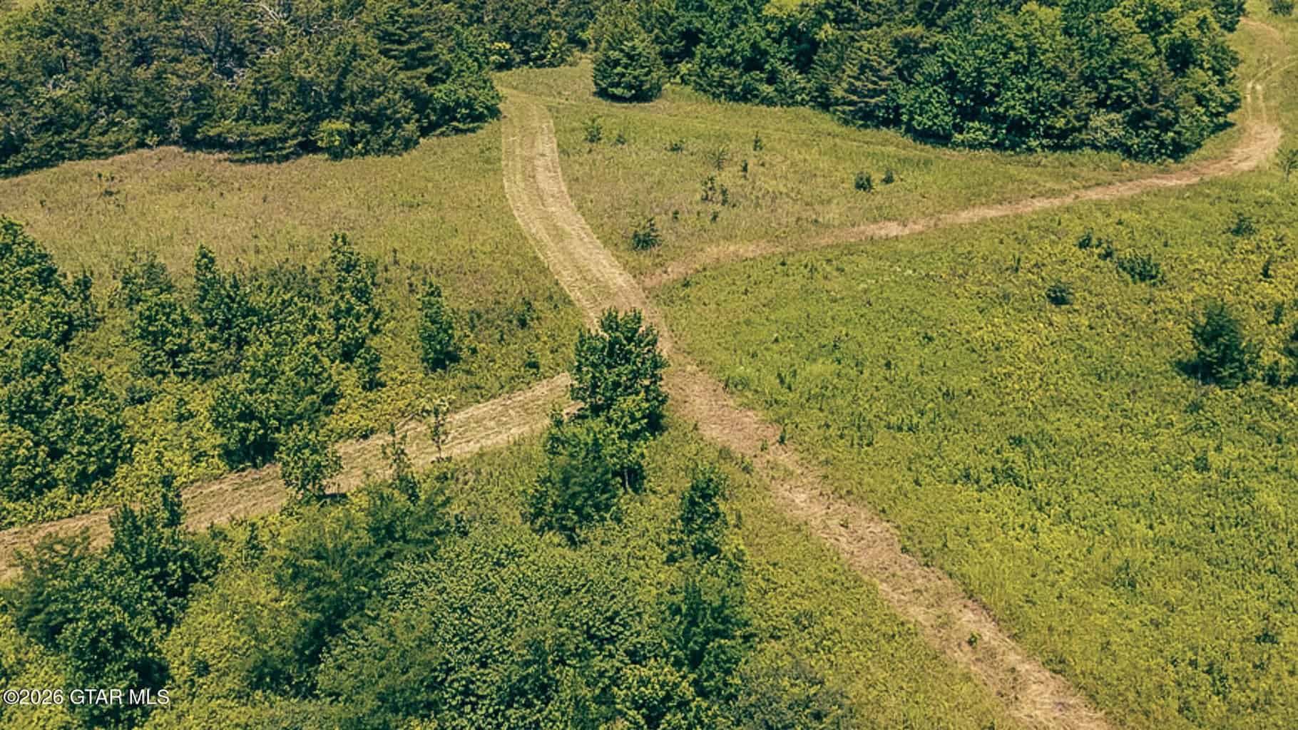 527 Acres Black Belt Prairie Clay County MS