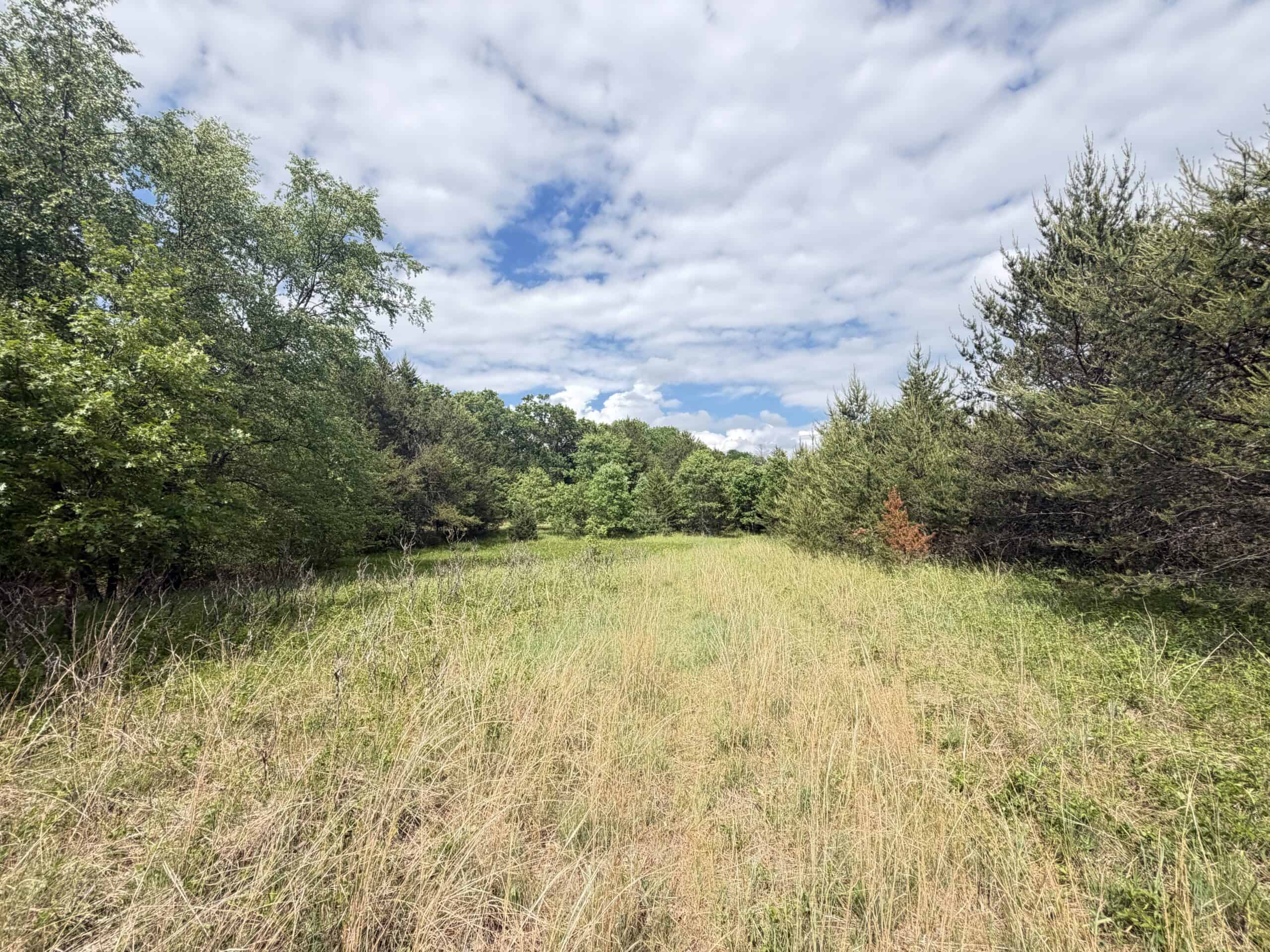 Forty acres in Adams County located in the Town of Strongs Prairie