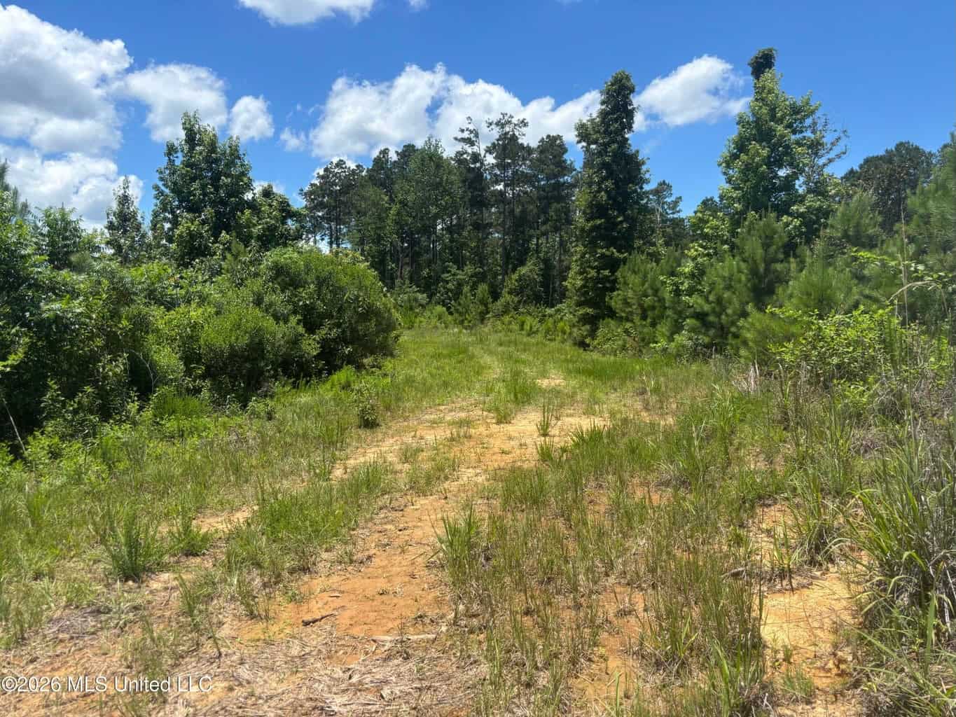 Wilkinson County MS Hunting Land for Sale