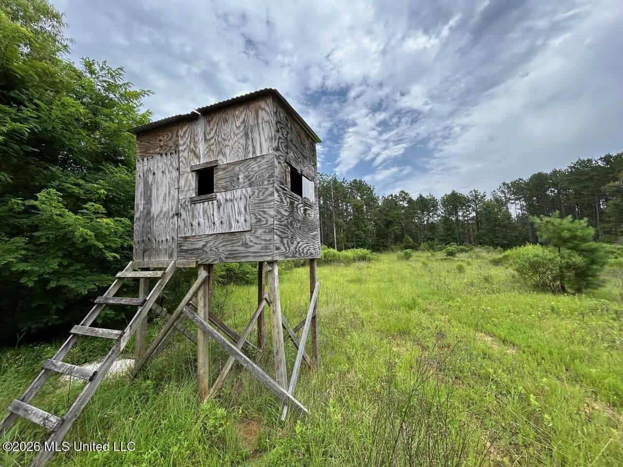 Crosby, MS Hunting Land by Homochitto National Forest