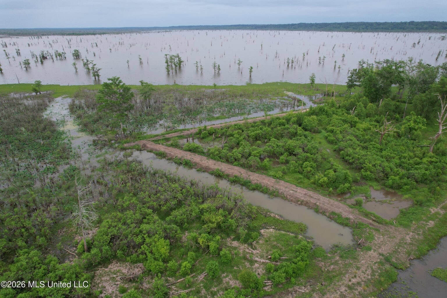 88 Acre Hunting Property – Wilkinson County, MS