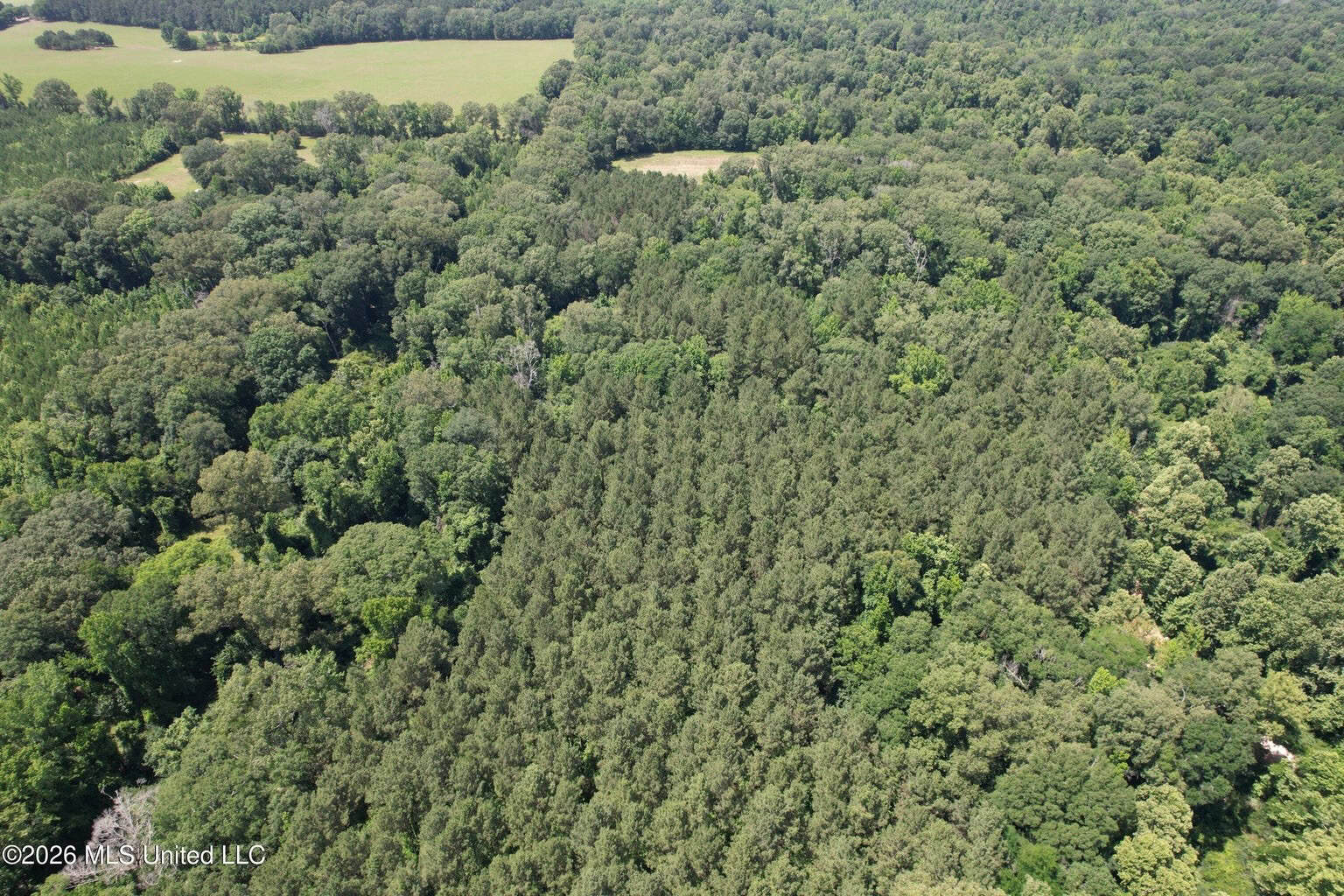 44 Acre Hunting Land in Wilkinson County, MS