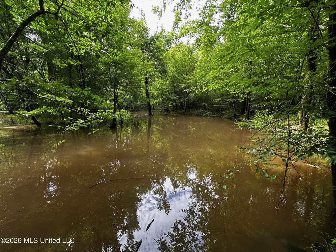 155 Acres Hunting Land for Sale in Centreville, MS