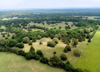 47.79-Acre Hunting Land with Cabin for Sale Ben Wheeler TX