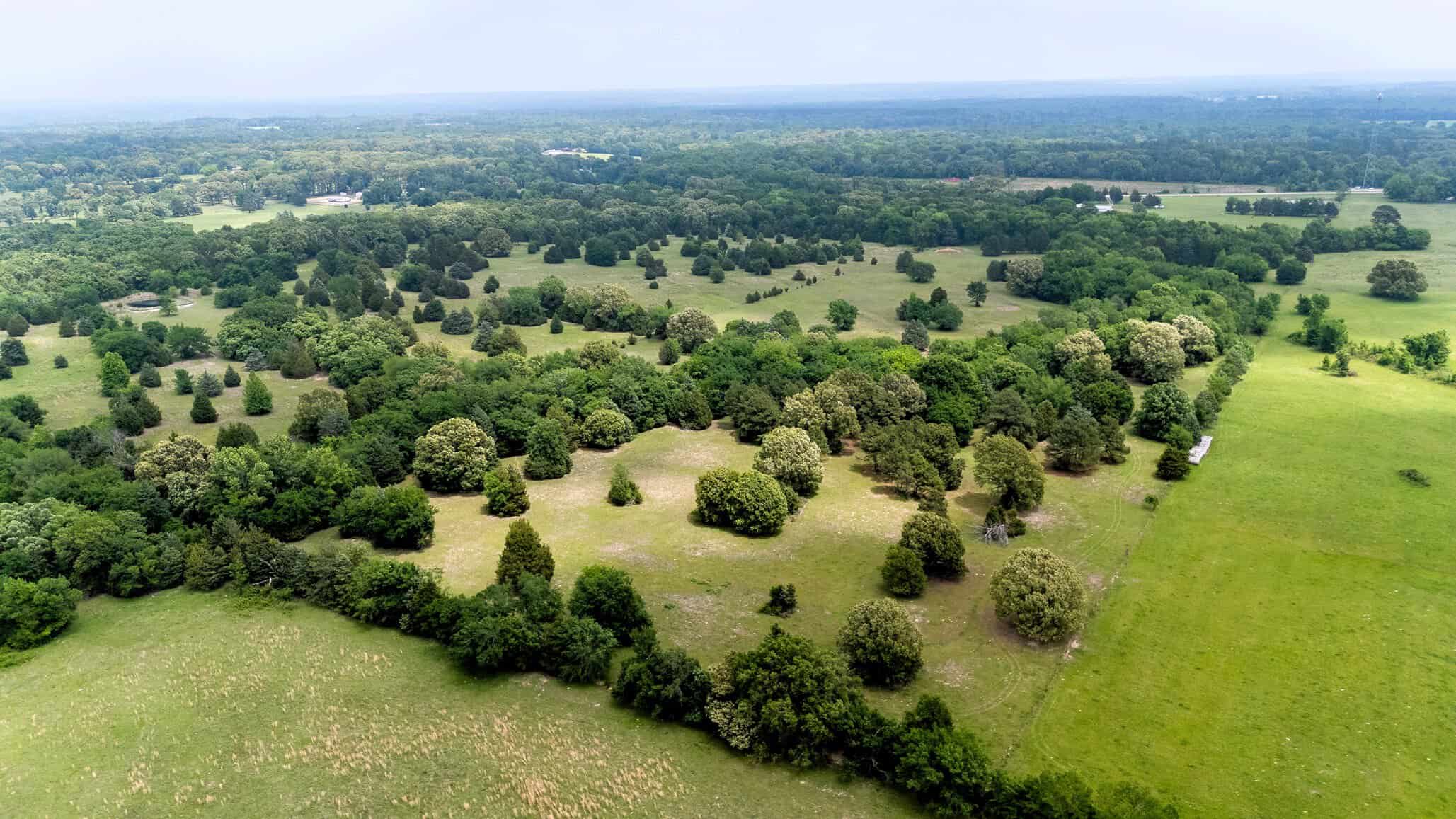 47.79-Acre Hunting Land with Cabin for Sale Ben Wheeler TX