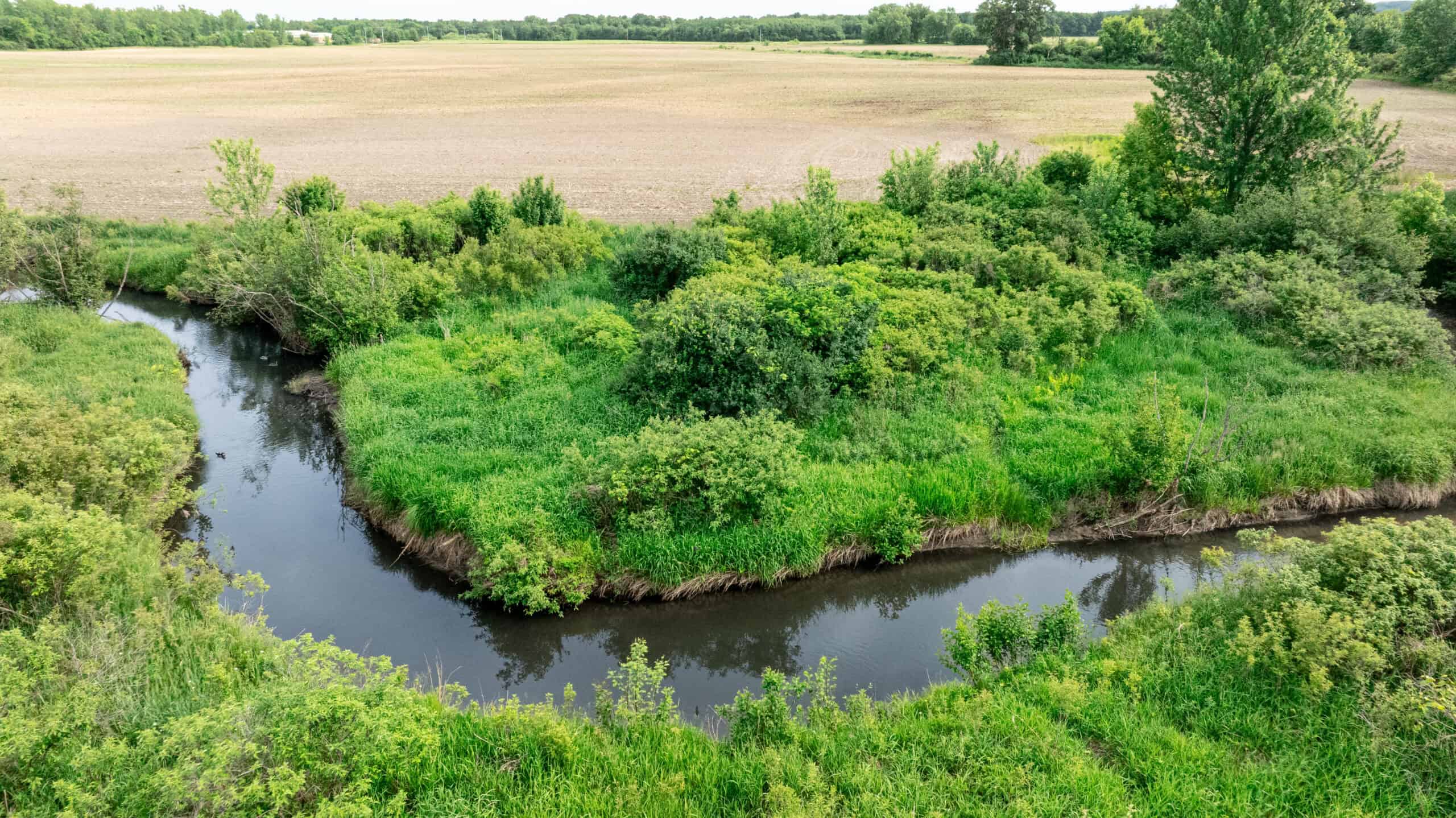 Online Auction 125± Acres of Farmland, Recreation & Investment Property