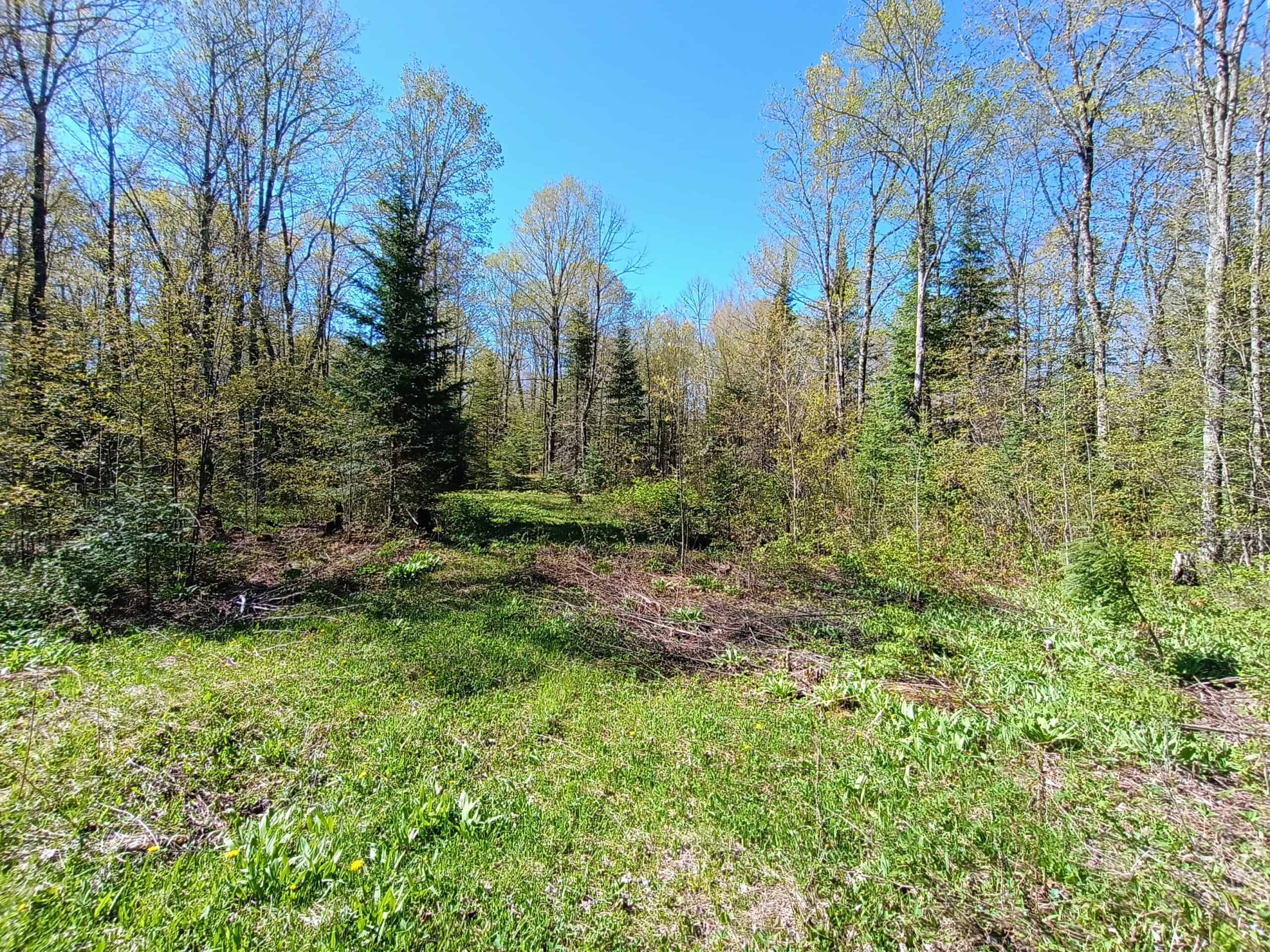 40 Acres Surrounded by 300,000 Acres of Public Land