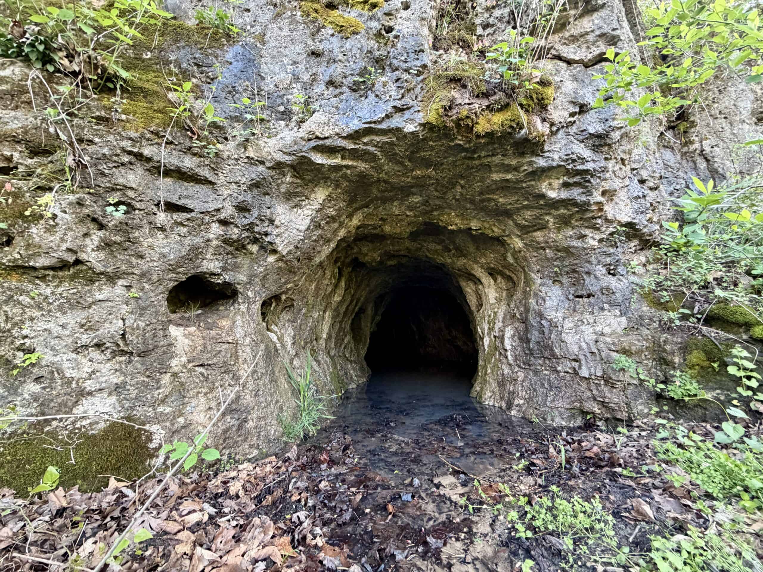 Land for Sale in the Missouri Ozark Mountains