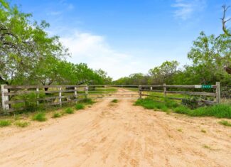 South Texas Dove Hunting Retreat
