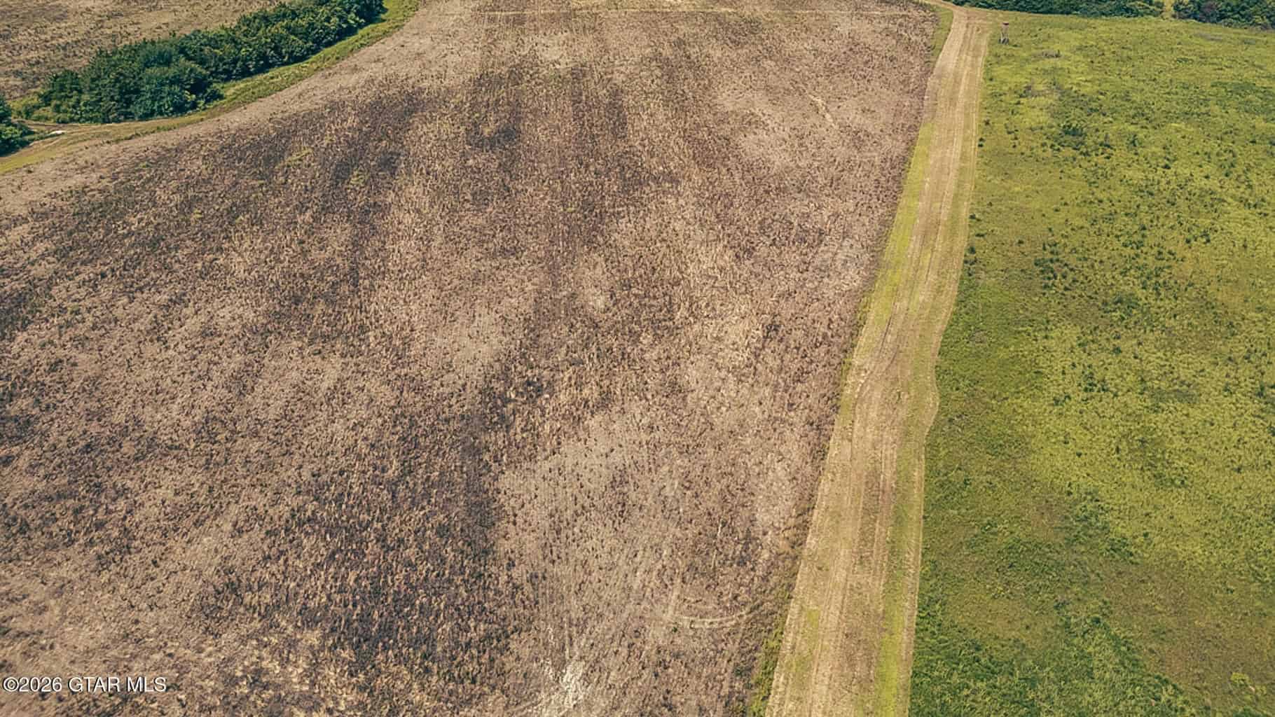 527 Acres Black Belt Prairie Clay County MS