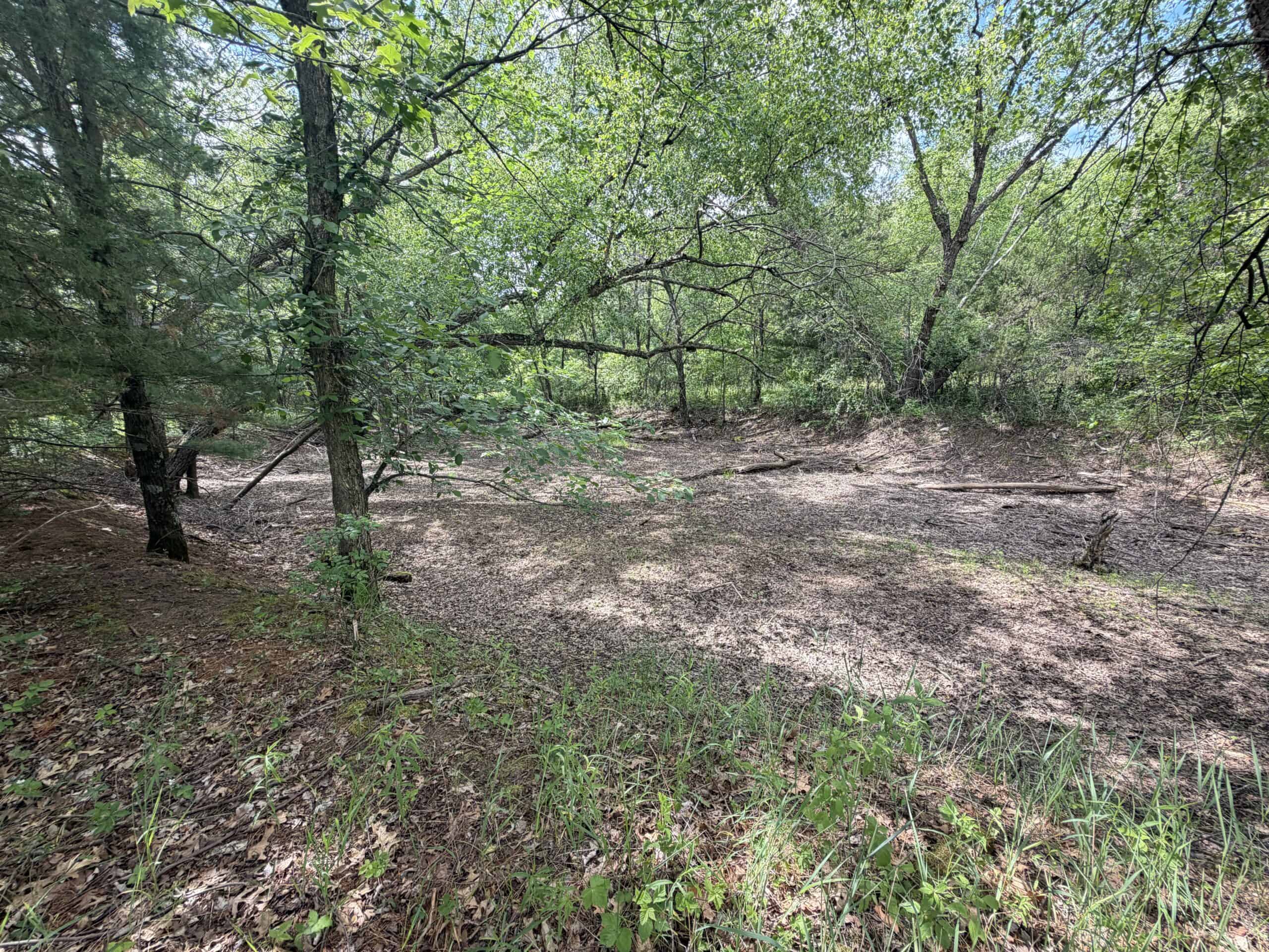 Forty acres in Adams County located in the Town of Strongs Prairie
