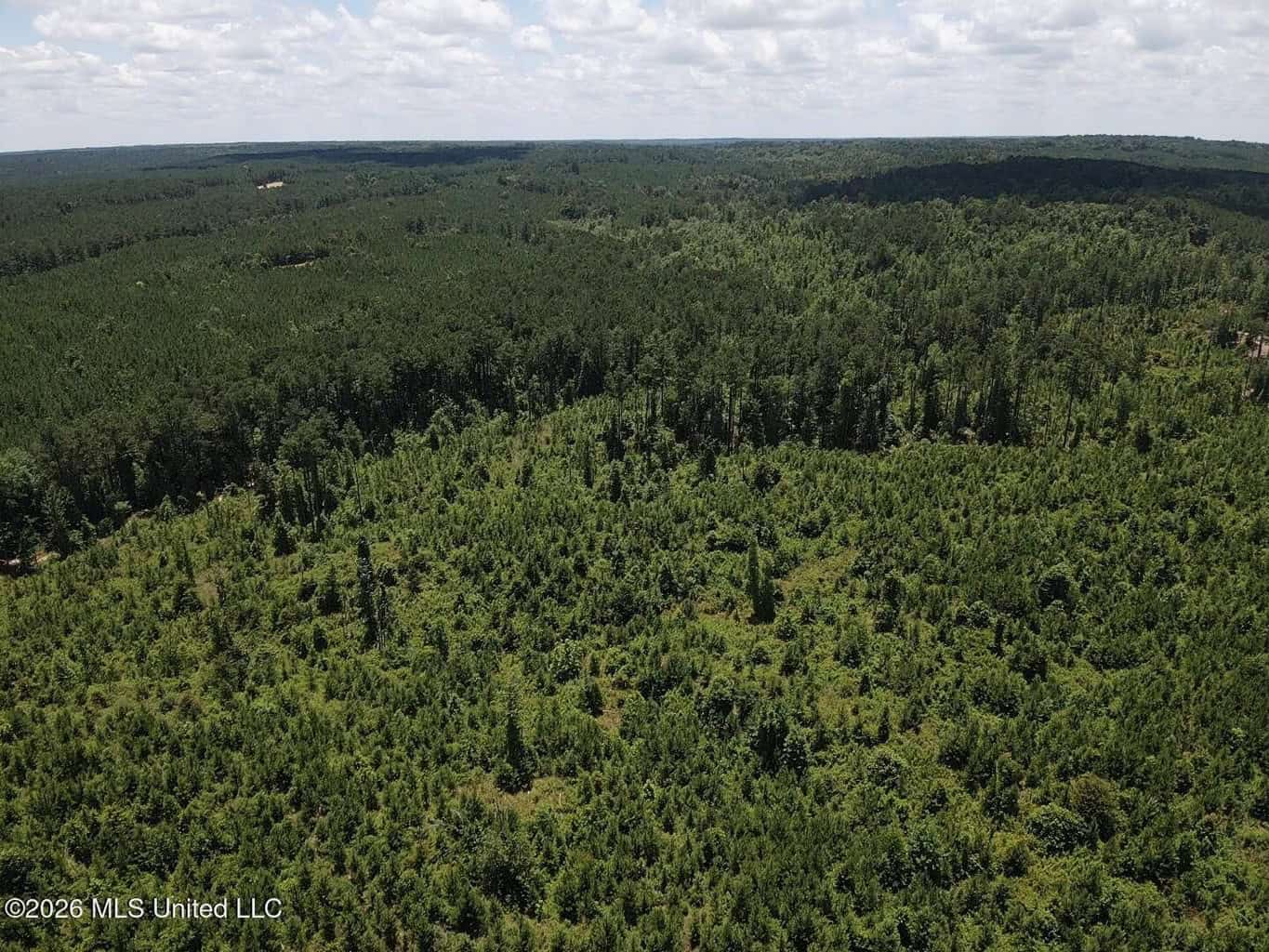 Wilkinson County MS Hunting Land for Sale