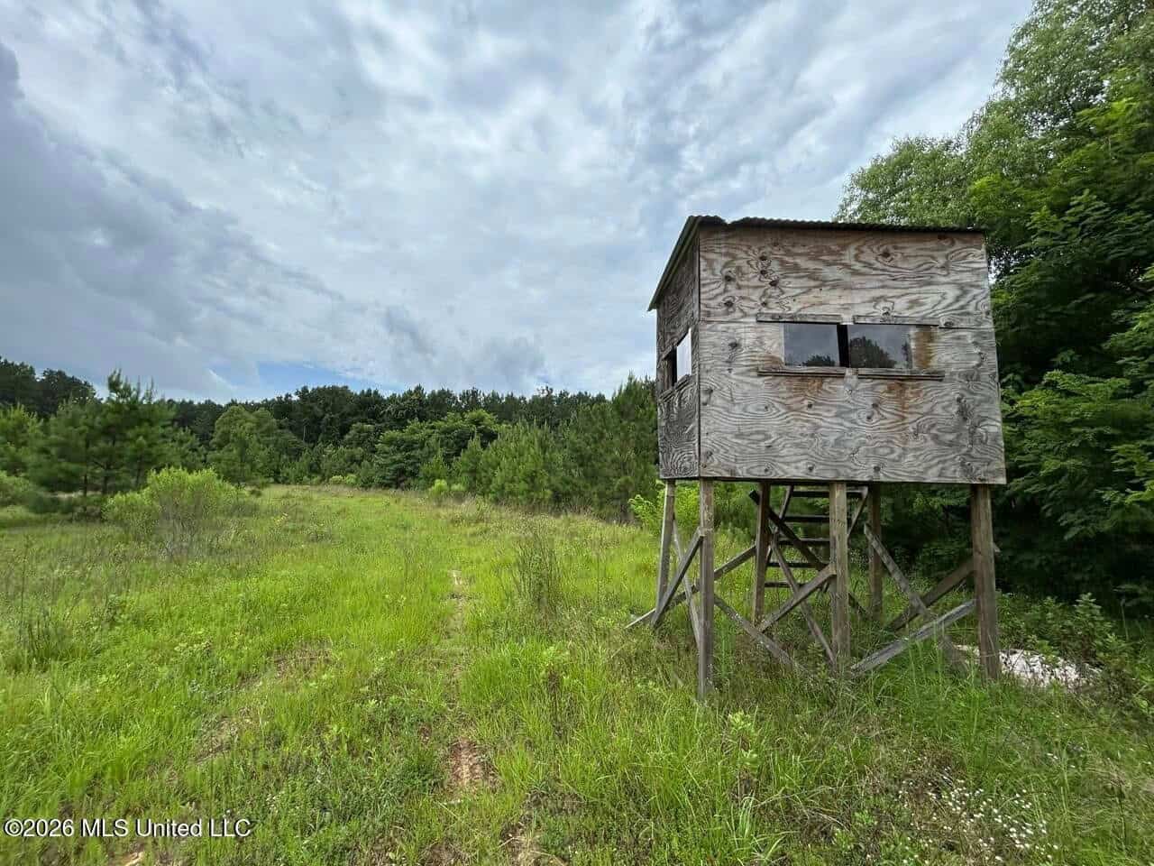 Crosby, MS Hunting Land by Homochitto National Forest