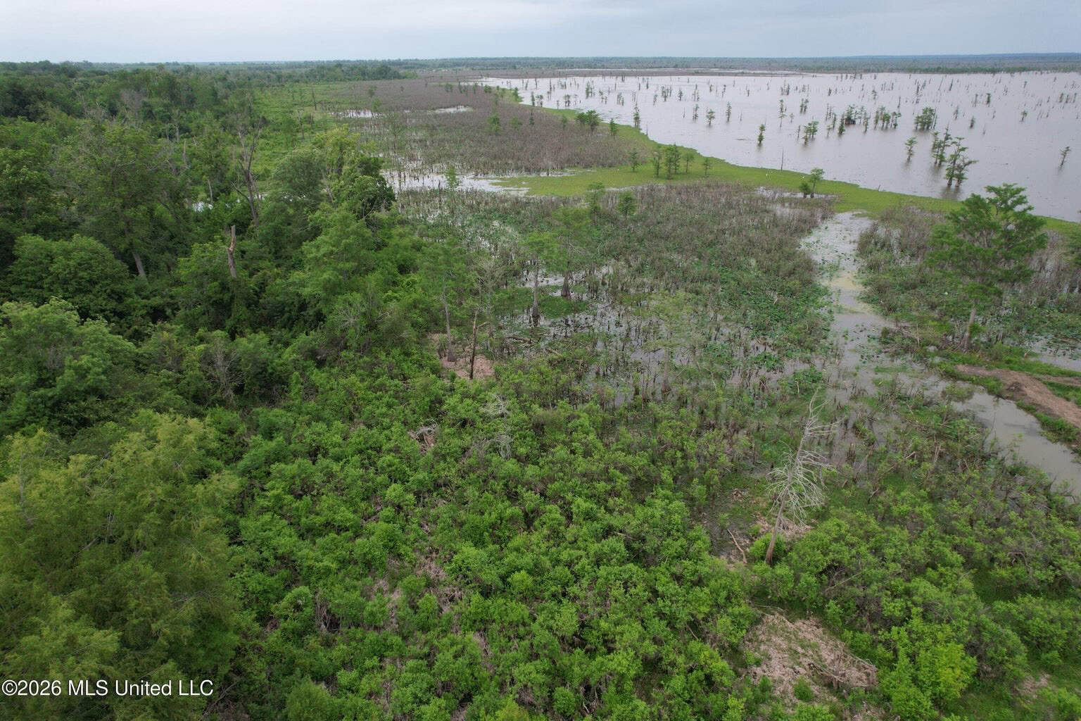 88 Acre Hunting Property – Wilkinson County, MS