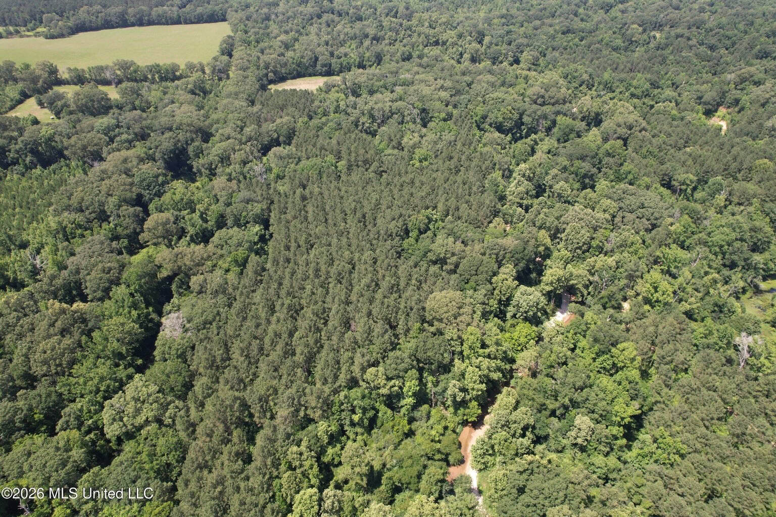 44 Acre Hunting Land in Wilkinson County, MS
