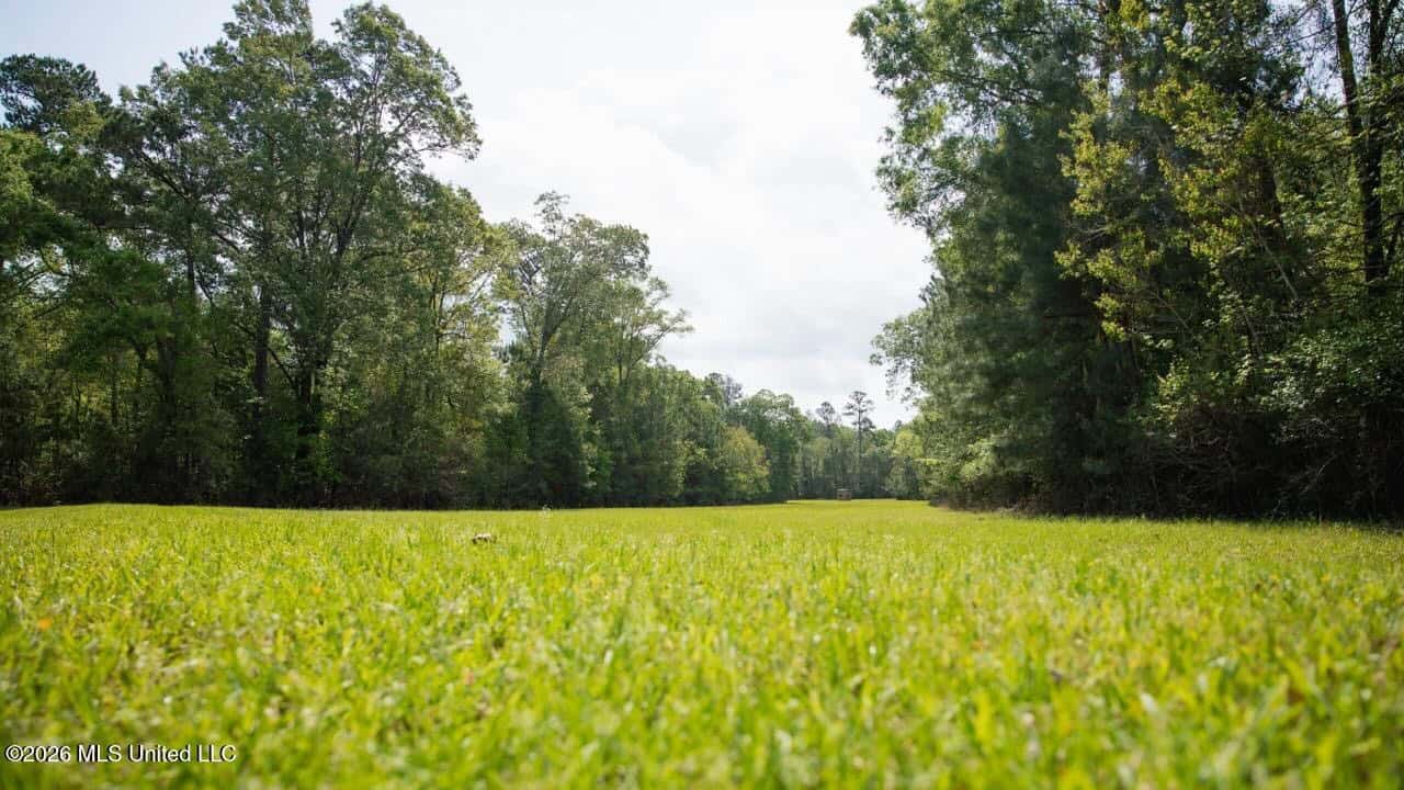 Paradise Whitetails in Oakdale, LA – 1,116± Acres