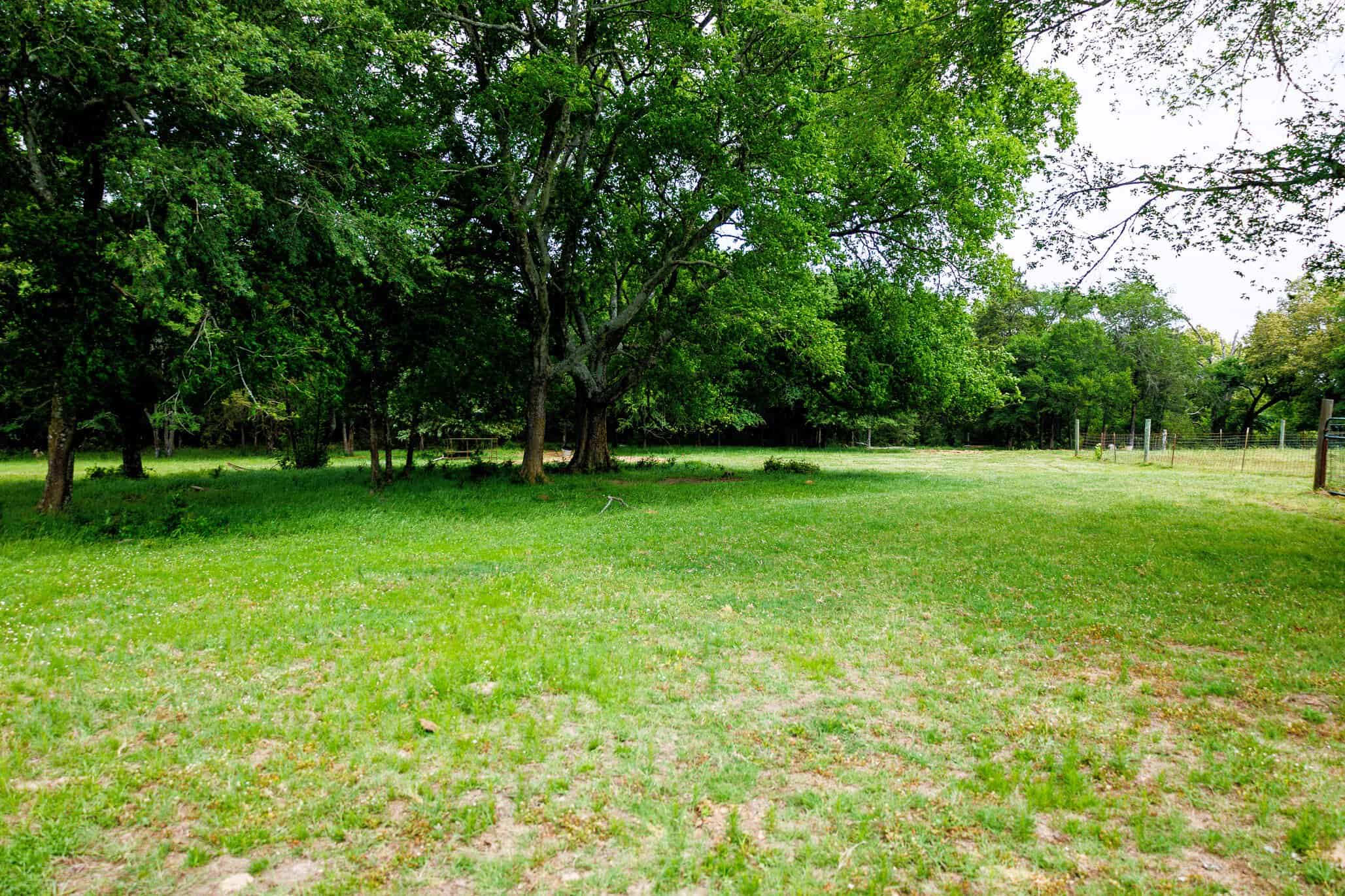 47.79-Acre Hunting Land with Cabin for Sale Ben Wheeler TX
