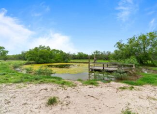 South Texas Dove Hunting Retreat