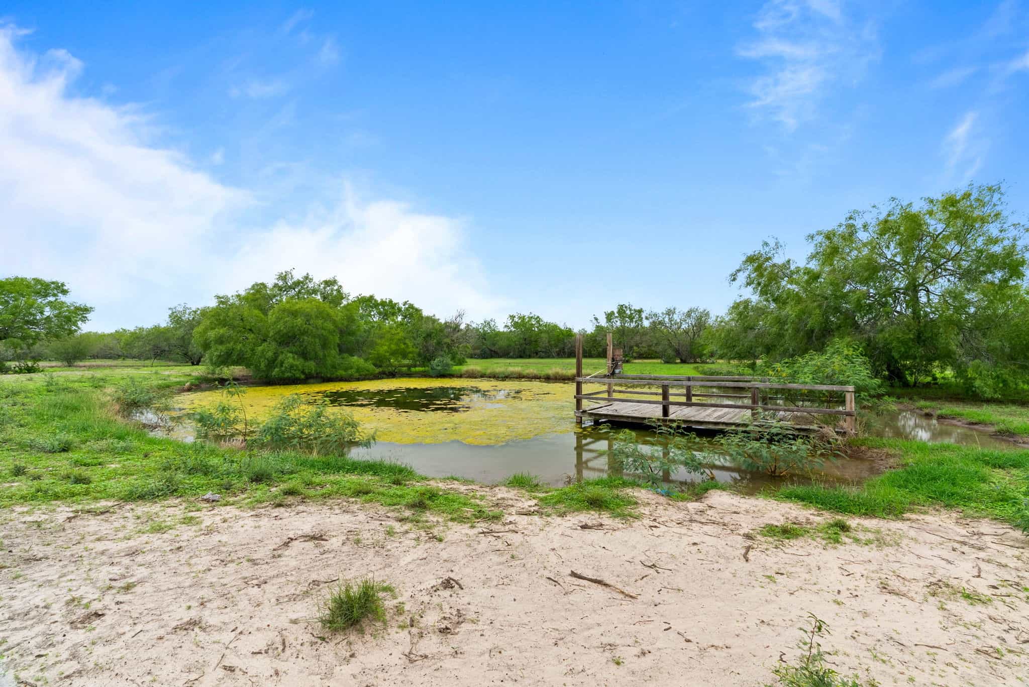 South Texas Dove Hunting Retreat