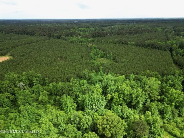 Land for Sale in Brookhaven, MS