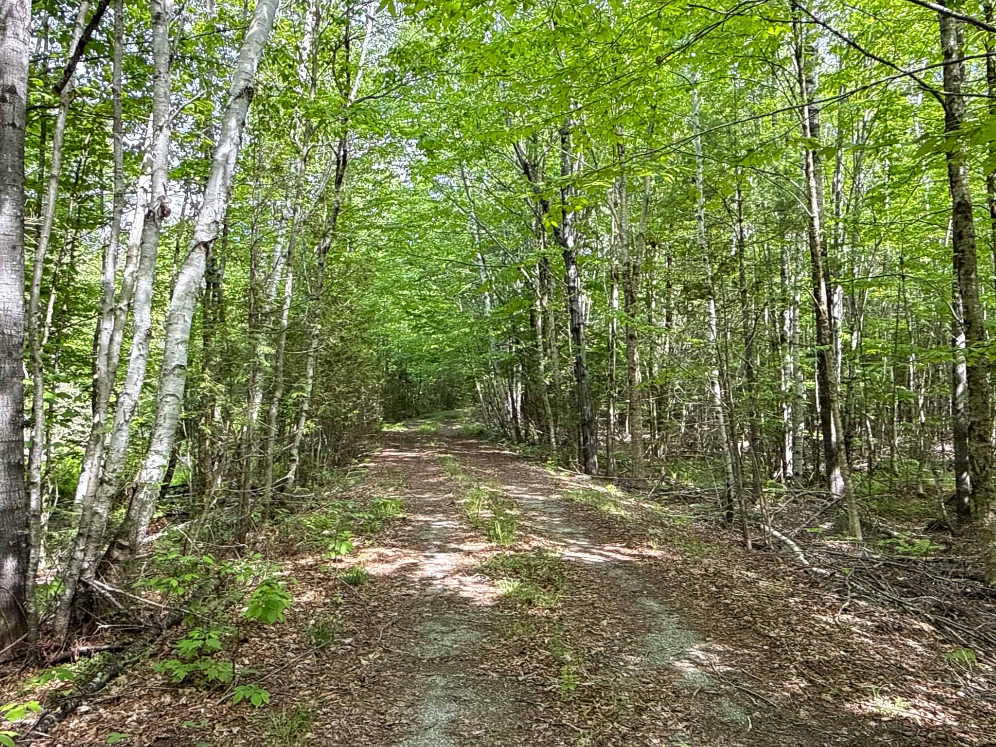 46 Acres of Maine Wilderness with Turnkey Off-Grid Cabin & Garage