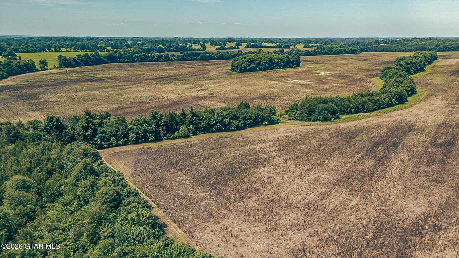 527 Acres Black Belt Prairie Clay County MS