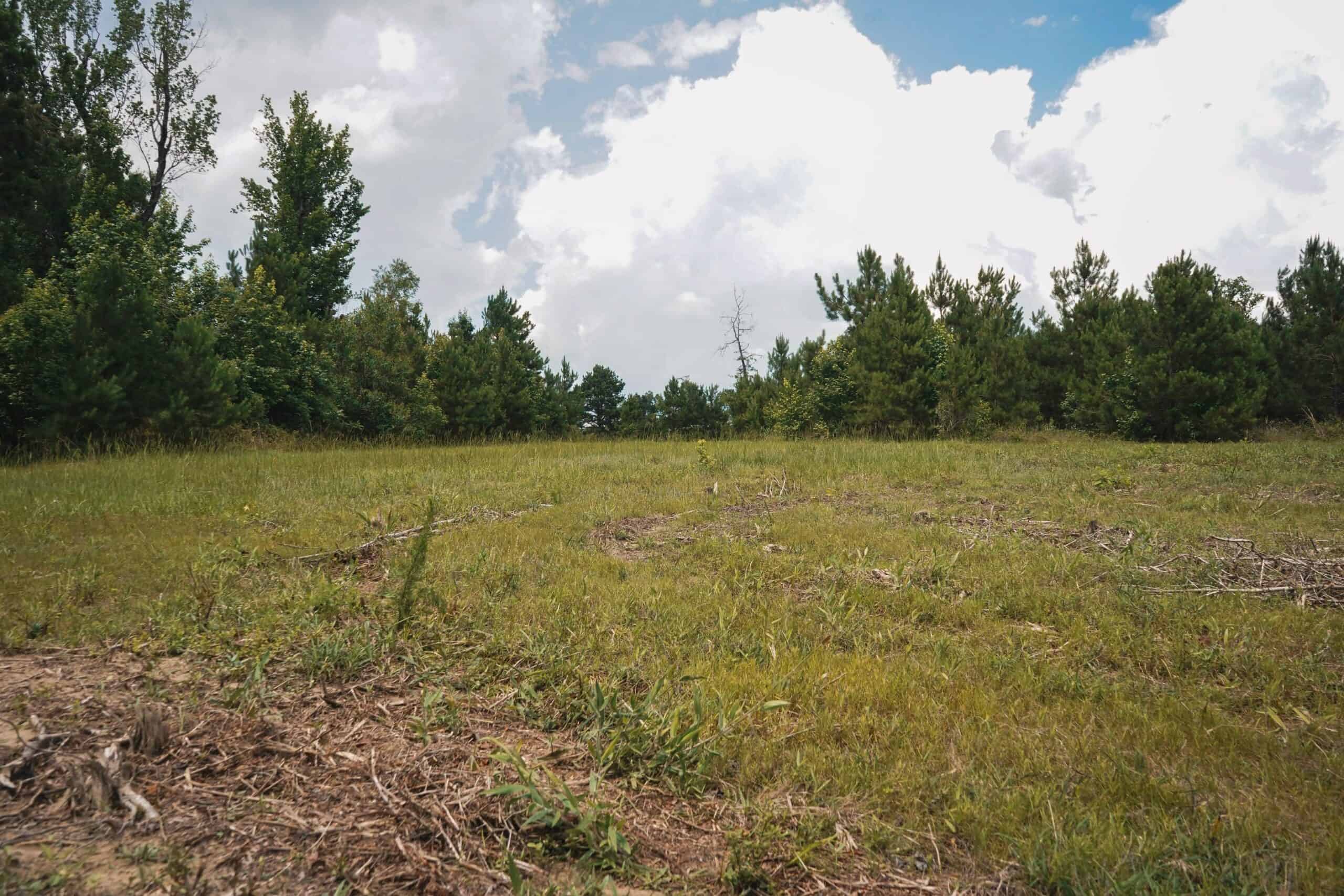 Weston 53 – Timber & Hunting Land in Louisiana