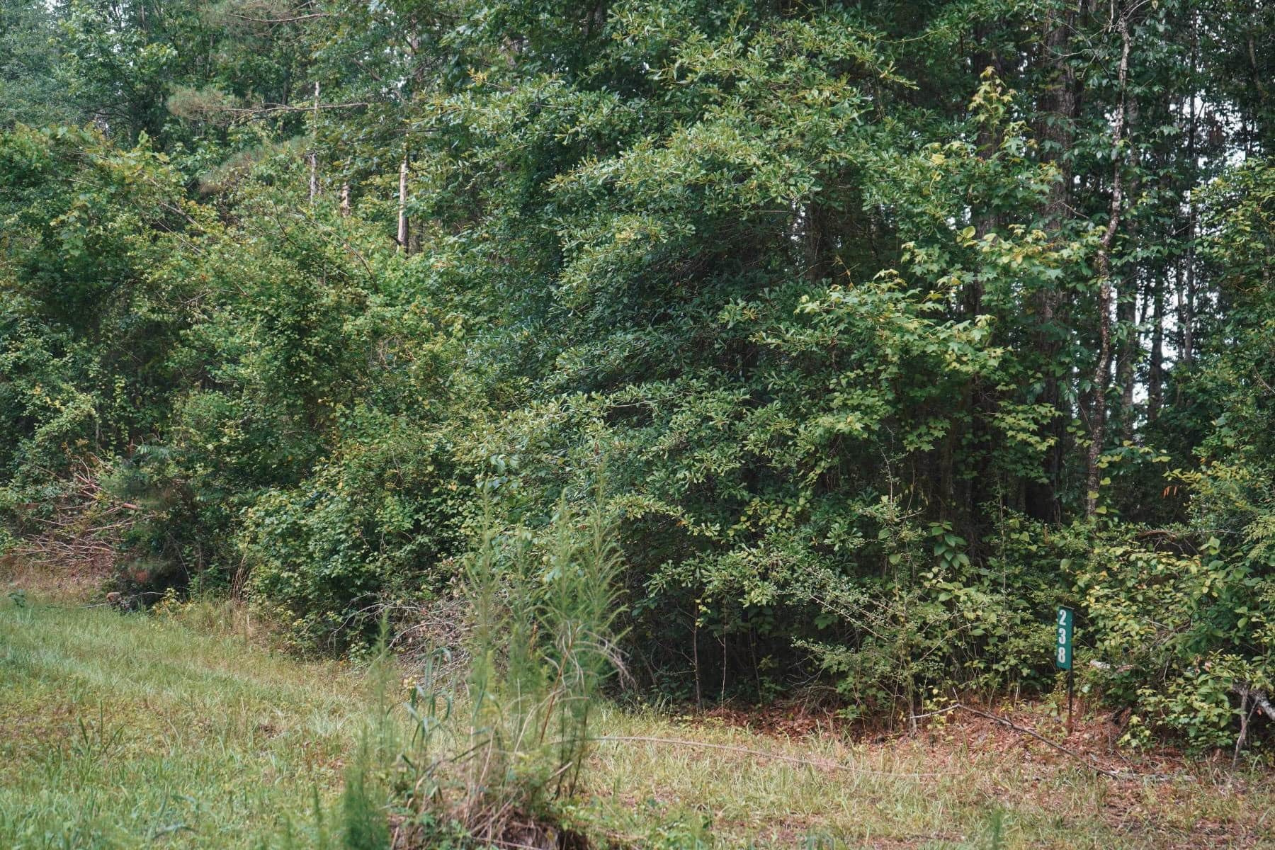 Weston 112 – Timber & Hunting Land in Jackson Parish, LA
