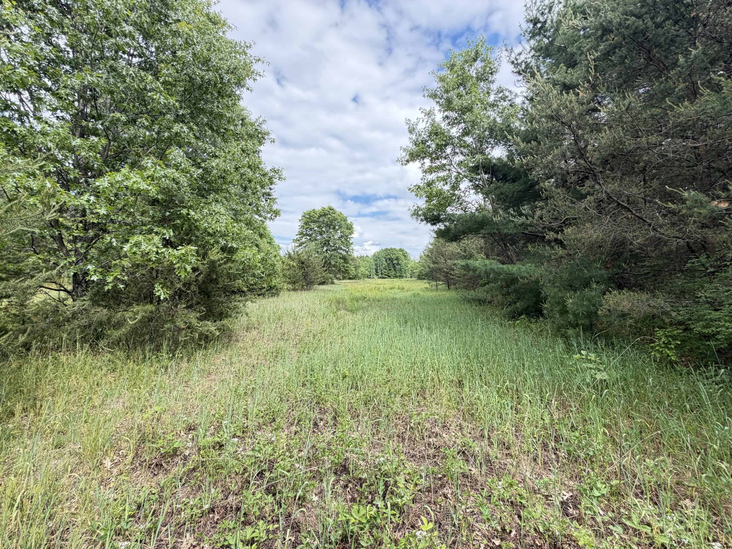 Forty acres in Adams County located in the Town of Strongs Prairie
