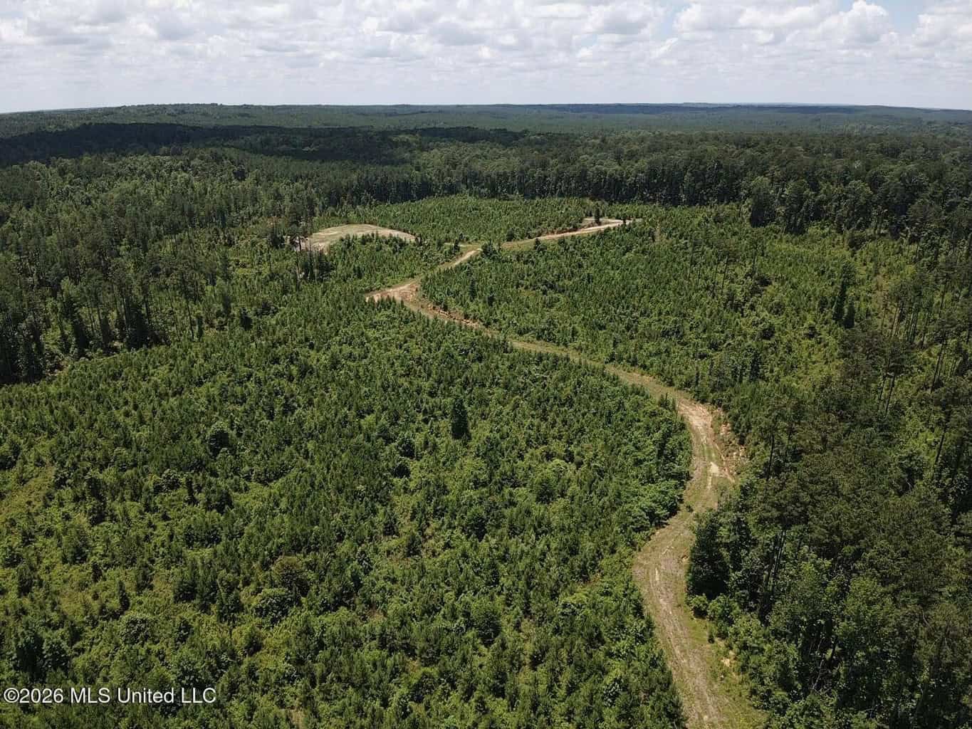 Wilkinson County MS Hunting Land for Sale