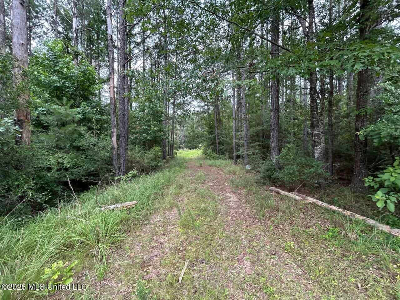 Crosby, MS Hunting Land by Homochitto National Forest