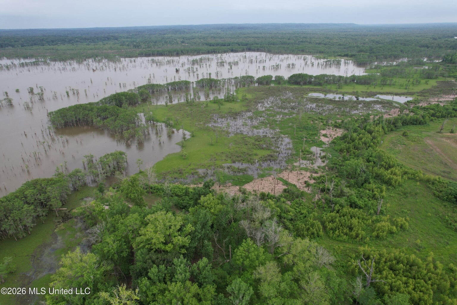 88 Acre Hunting Property – Wilkinson County, MS