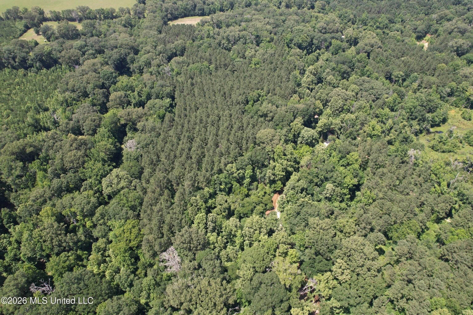 44 Acre Hunting Land in Wilkinson County, MS