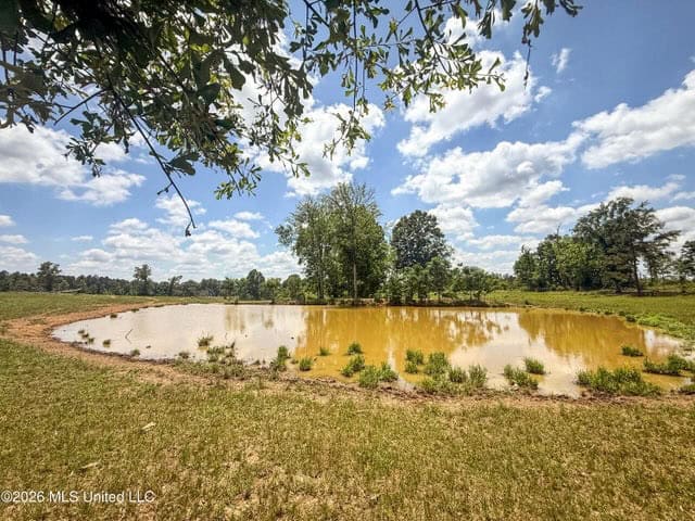 Pasture Land for Sale in Lincoln County, MS