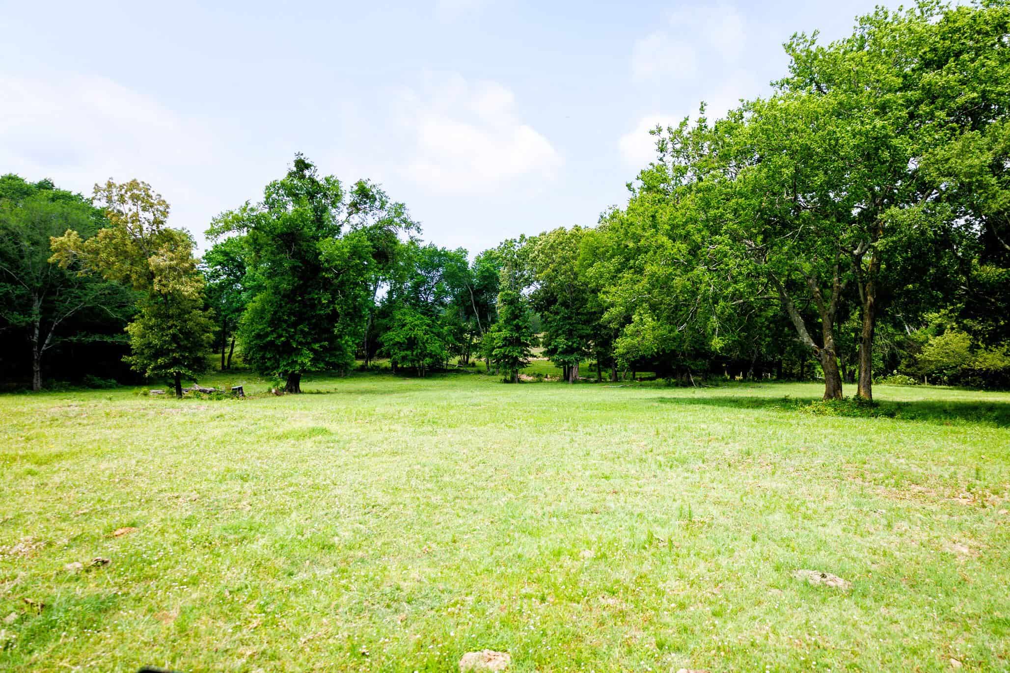 47.79-Acre Hunting Land with Cabin for Sale Ben Wheeler TX