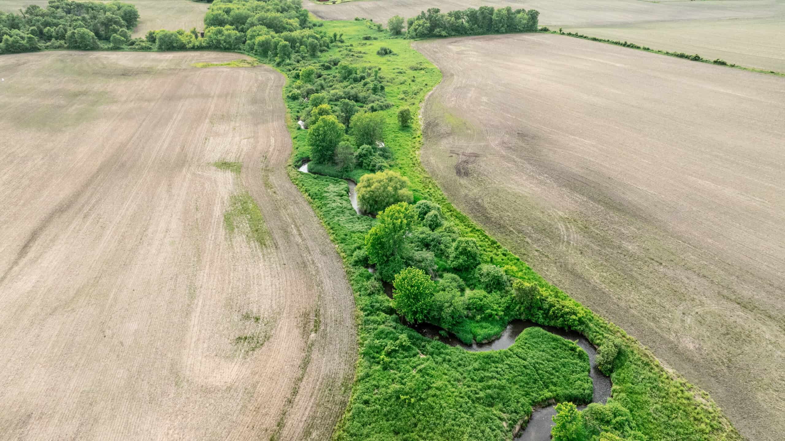 Online Auction 125± Acres of Farmland, Recreation & Investment Property