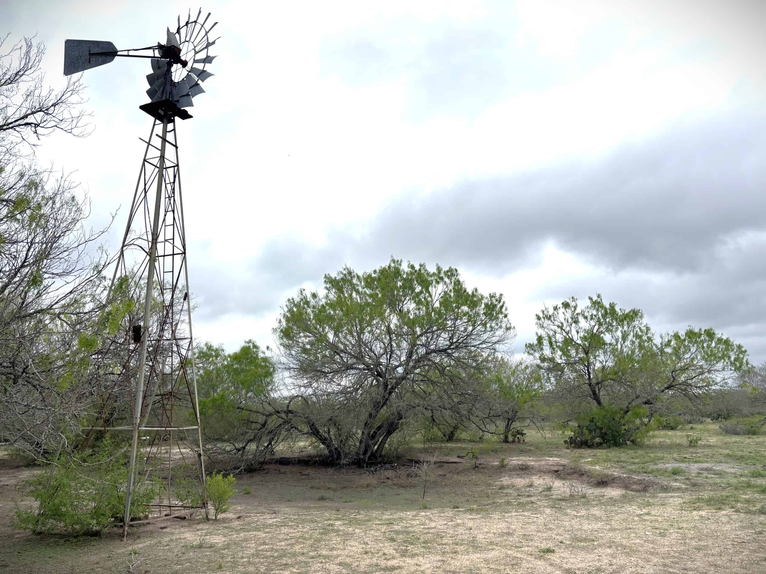 South Texas Dove Hunting Retreat