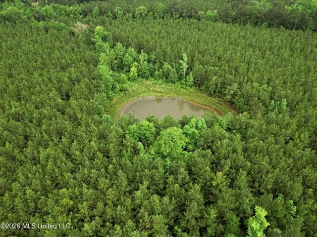 Land for Sale in Brookhaven, MS
